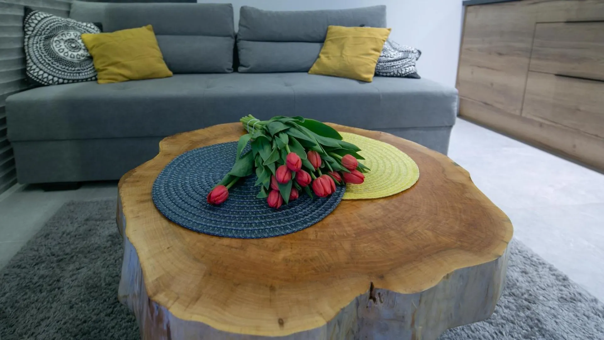 Gorski Przystanek Apartament Skalny Zakopane